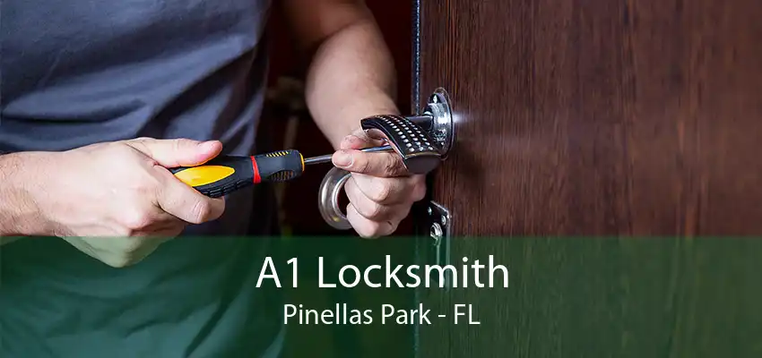 A1 Locksmith Pinellas Park - FL