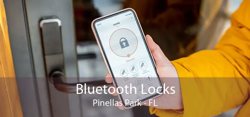 Bluetooth Locks Pinellas Park - FL