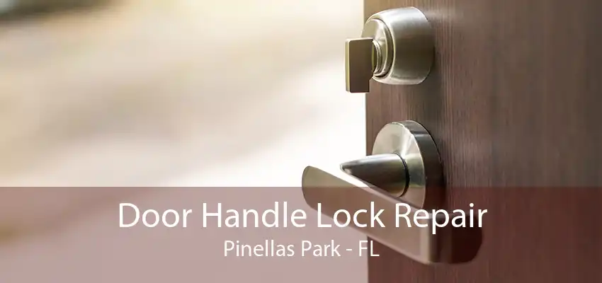 Door Handle Lock Repair Pinellas Park - FL