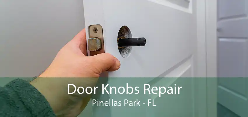 Door Knobs Repair Pinellas Park - FL