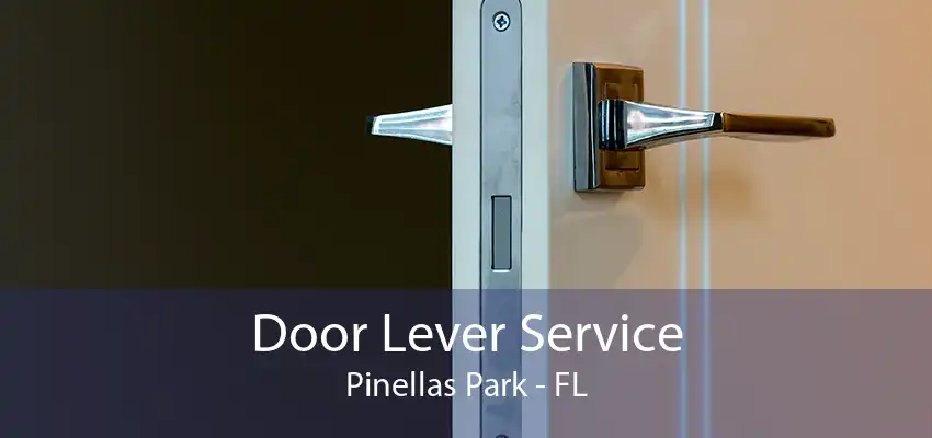 Door Lever Service Pinellas Park - FL