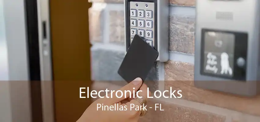 Electronic Locks Pinellas Park - FL