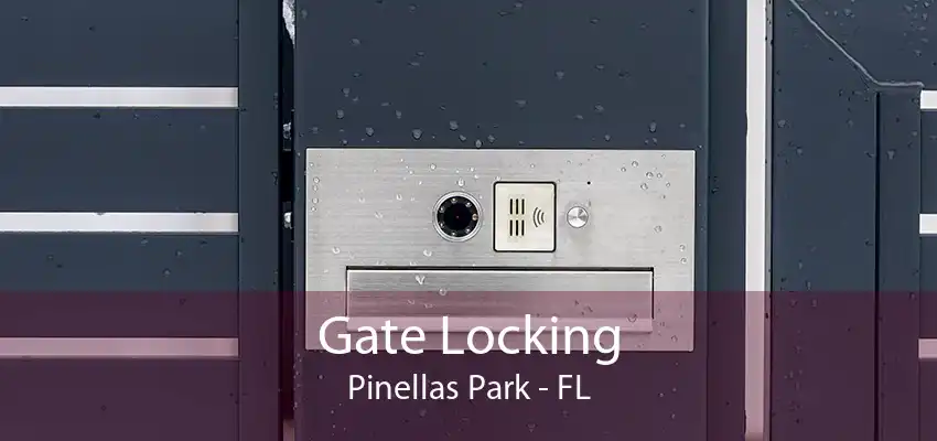 Gate Locking Pinellas Park - FL