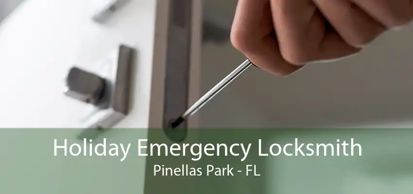 Holiday Emergency Locksmith Pinellas Park - FL