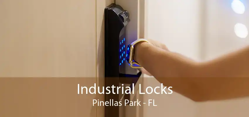 Industrial Locks Pinellas Park - FL