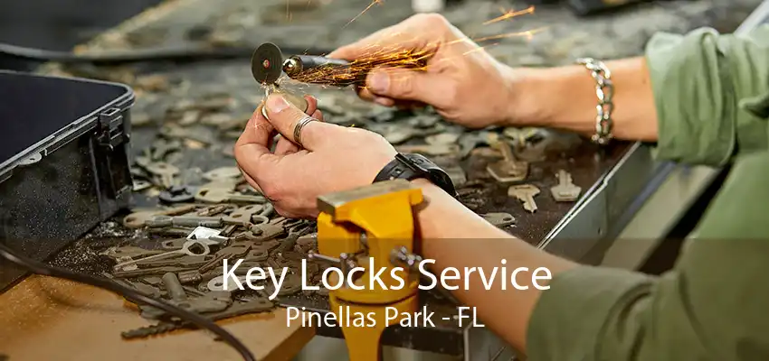 Key Locks Service Pinellas Park - FL