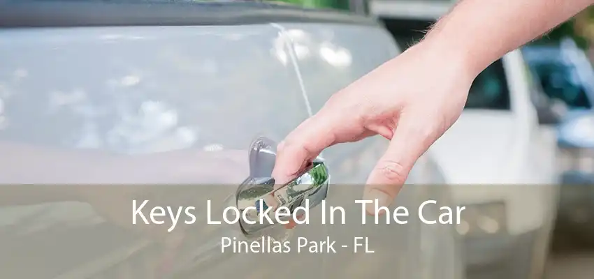 Keys Locked In The Car Pinellas Park - FL