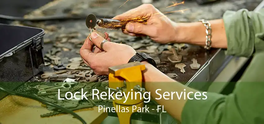 Lock Rekeying Services Pinellas Park - FL