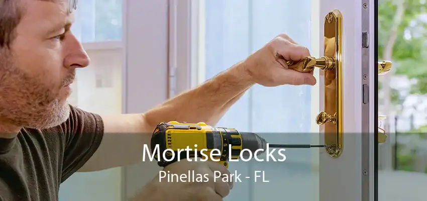 Mortise Locks Pinellas Park - FL