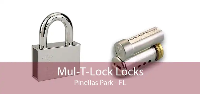 Mul-T-Lock Locks Pinellas Park - FL