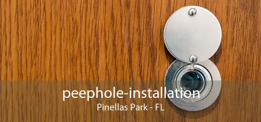 peephole-installation Pinellas Park - FL