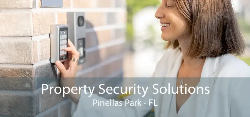 Property Security Solutions Pinellas Park - FL